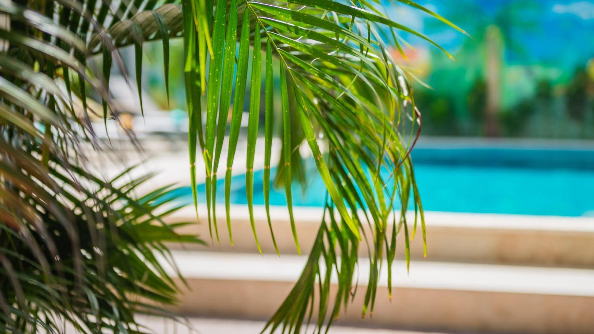 Casita Palma Boutique Resort Playa Exterior foto